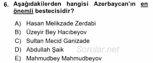 XIX. Yüzyıl Türk Dünyası 2017 - 2018 Dönem Sonu Sınavı 6.Soru
