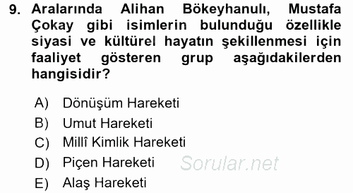 XIX. Yüzyıl Türk Dünyası 2017 - 2018 Dönem Sonu Sınavı 9.Soru
