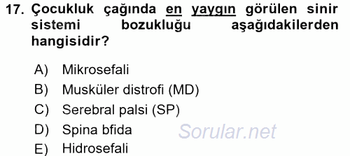 Temel Bakım ve Rehabilitasyon 1 2017 - 2018 Dönem Sonu Sınavı 17.Soru