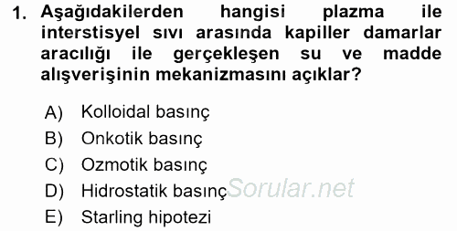 Temel Veteriner Biyokimya 2017 - 2018 Ara Sınavı 1.Soru