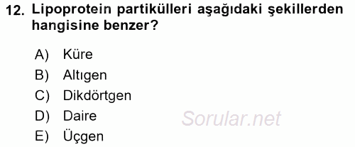 Temel Veteriner Biyokimya 2017 - 2018 Ara Sınavı 12.Soru