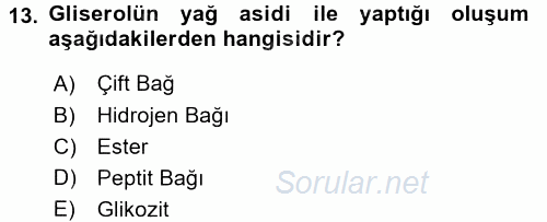 Temel Veteriner Biyokimya 2017 - 2018 Ara Sınavı 13.Soru