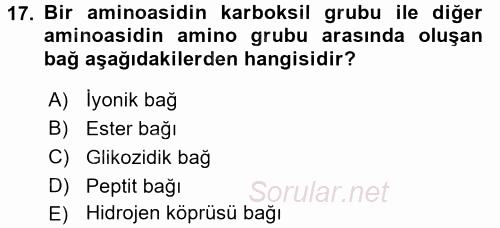 Temel Veteriner Biyokimya 2017 - 2018 Ara Sınavı 17.Soru