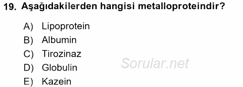 Temel Veteriner Biyokimya 2017 - 2018 Ara Sınavı 19.Soru