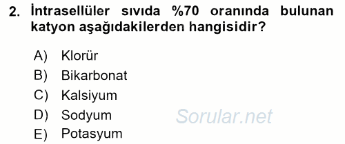 Temel Veteriner Biyokimya 2017 - 2018 Ara Sınavı 2.Soru