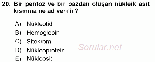 Temel Veteriner Biyokimya 2017 - 2018 Ara Sınavı 20.Soru