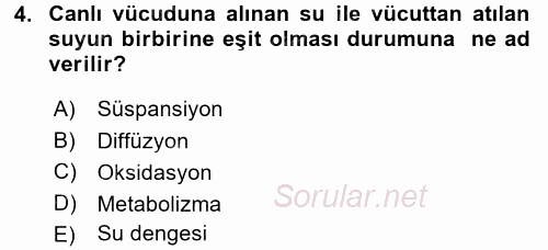 Temel Veteriner Biyokimya 2017 - 2018 Ara Sınavı 4.Soru