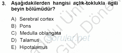 Çocuk Ruh Sağlığı 2012 - 2013 Dönem Sonu Sınavı 3.Soru