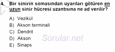 Çocuk Ruh Sağlığı 2012 - 2013 Dönem Sonu Sınavı 4.Soru