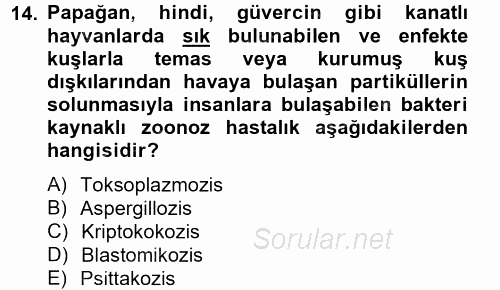 Hijyen ve Sanitasyon 2014 - 2015 Tek Ders Sınavı 14.Soru