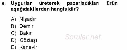 Bilim ve Teknoloji Tarihi 2013 - 2014 Dönem Sonu Sınavı 9.Soru