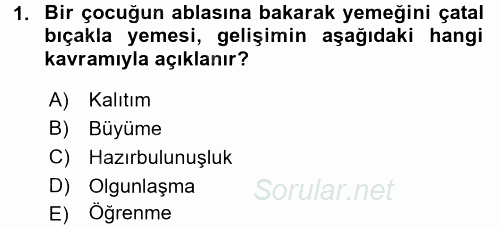 Çocuk Gelişimi 2016 - 2017 3 Ders Sınavı 1.Soru