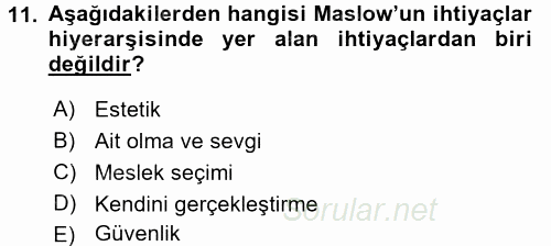 Çocuk Gelişimi 2016 - 2017 3 Ders Sınavı 11.Soru