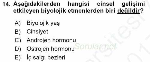 Çocuk Gelişimi 2016 - 2017 3 Ders Sınavı 14.Soru