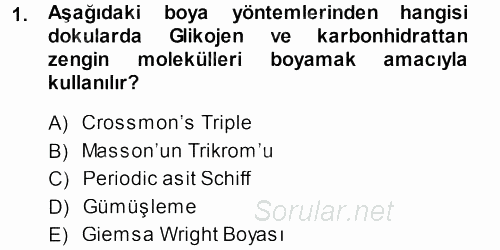 Temel Veteriner Histoloji ve Embriyoloji 2013 - 2014 Dönem Sonu Sınavı 1.Soru