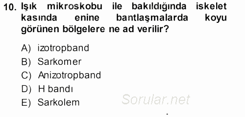 Temel Veteriner Histoloji ve Embriyoloji 2013 - 2014 Dönem Sonu Sınavı 10.Soru