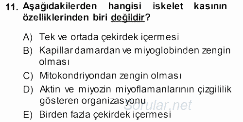 Temel Veteriner Histoloji ve Embriyoloji 2013 - 2014 Dönem Sonu Sınavı 11.Soru