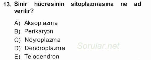 Temel Veteriner Histoloji ve Embriyoloji 2013 - 2014 Dönem Sonu Sınavı 13.Soru