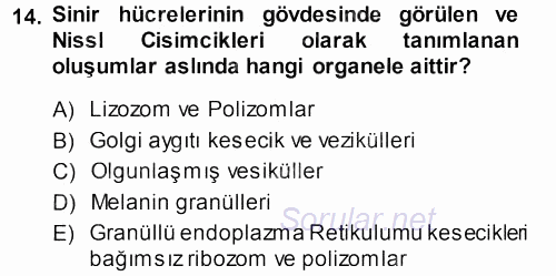 Temel Veteriner Histoloji ve Embriyoloji 2013 - 2014 Dönem Sonu Sınavı 14.Soru