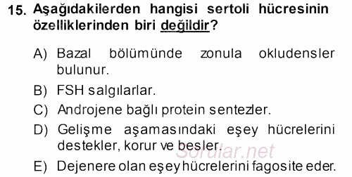Temel Veteriner Histoloji ve Embriyoloji 2013 - 2014 Dönem Sonu Sınavı 15.Soru