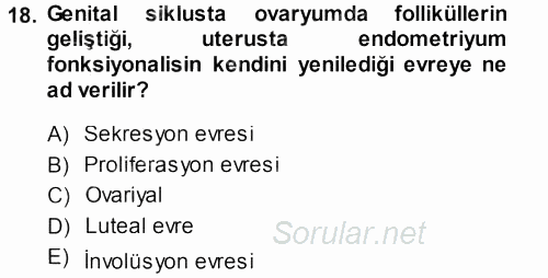 Temel Veteriner Histoloji ve Embriyoloji 2013 - 2014 Dönem Sonu Sınavı 18.Soru