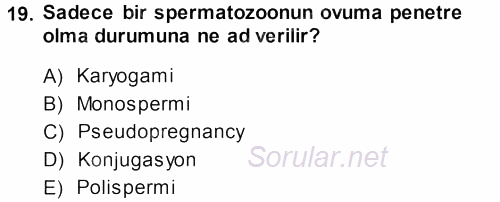 Temel Veteriner Histoloji ve Embriyoloji 2013 - 2014 Dönem Sonu Sınavı 19.Soru