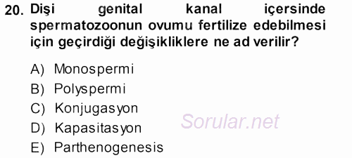 Temel Veteriner Histoloji ve Embriyoloji 2013 - 2014 Dönem Sonu Sınavı 20.Soru