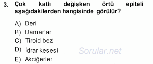 Temel Veteriner Histoloji ve Embriyoloji 2013 - 2014 Dönem Sonu Sınavı 3.Soru