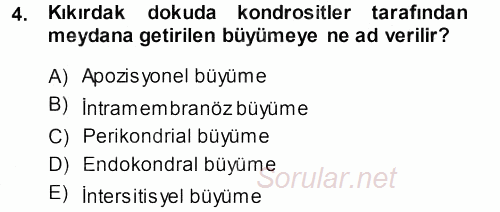 Temel Veteriner Histoloji ve Embriyoloji 2013 - 2014 Dönem Sonu Sınavı 4.Soru