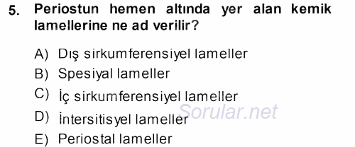 Temel Veteriner Histoloji ve Embriyoloji 2013 - 2014 Dönem Sonu Sınavı 5.Soru