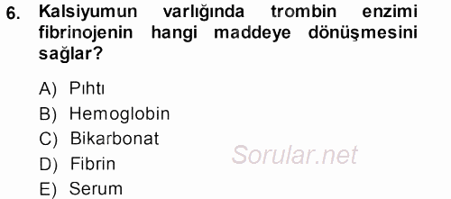 Temel Veteriner Histoloji ve Embriyoloji 2013 - 2014 Dönem Sonu Sınavı 6.Soru