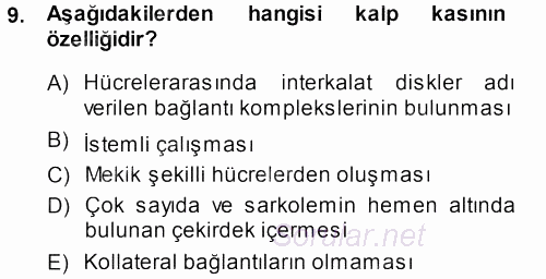 Temel Veteriner Histoloji ve Embriyoloji 2013 - 2014 Dönem Sonu Sınavı 9.Soru