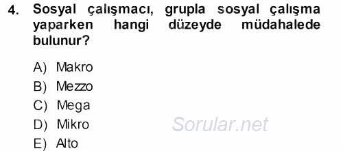 Sosyal Hizmete Giriş 2013 - 2014 Dönem Sonu Sınavı 4.Soru