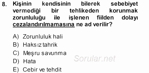 Ceza Hukukuna Giriş 2013 - 2014 Dönem Sonu Sınavı 8.Soru