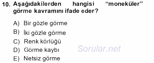 Görsel Estetik 2013 - 2014 Dönem Sonu Sınavı 10.Soru