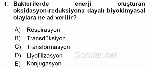 Temel Veteriner Mikrobiyoloji ve İmmünoloji 2015 - 2016 Dönem Sonu Sınavı 1.Soru