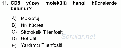 Temel Veteriner Mikrobiyoloji ve İmmünoloji 2015 - 2016 Dönem Sonu Sınavı 11.Soru