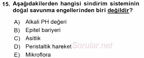 Temel Veteriner Mikrobiyoloji ve İmmünoloji 2015 - 2016 Dönem Sonu Sınavı 15.Soru