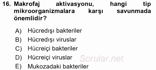 Temel Veteriner Mikrobiyoloji ve İmmünoloji 2015 - 2016 Dönem Sonu Sınavı 16.Soru