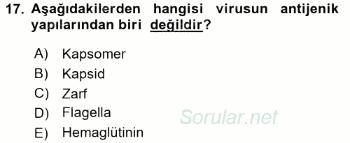 Temel Veteriner Mikrobiyoloji ve İmmünoloji 2015 - 2016 Dönem Sonu Sınavı 17.Soru