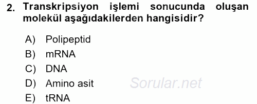 Temel Veteriner Mikrobiyoloji ve İmmünoloji 2015 - 2016 Dönem Sonu Sınavı 2.Soru