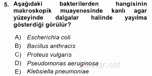 Temel Veteriner Mikrobiyoloji ve İmmünoloji 2015 - 2016 Dönem Sonu Sınavı 5.Soru