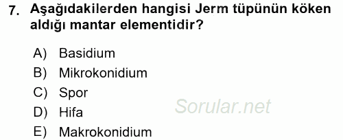 Temel Veteriner Mikrobiyoloji ve İmmünoloji 2015 - 2016 Dönem Sonu Sınavı 7.Soru Temel Veteriner Mikrobiyoloji ve İmmünoloji 2015 - 2016 Dönem Sonu Sınavı 7.Soru