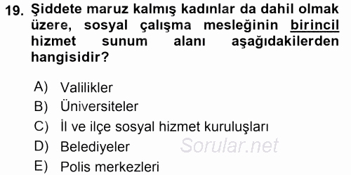 Sosyal Hizmete Giriş 2015 - 2016 Tek Ders Sınavı 19.Soru