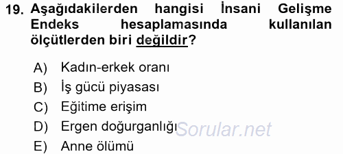 Ekonominin Güncel Sorunları 2015 - 2016 Tek Ders Sınavı 19.Soru