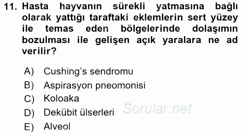Temel Klinik Bilgisi 2017 - 2018 3 Ders Sınavı 11.Soru