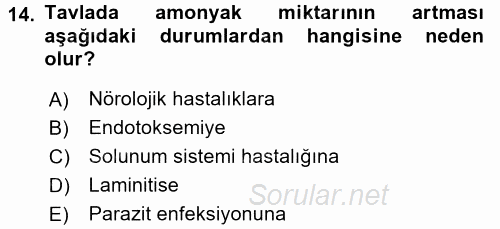 Temel Klinik Bilgisi 2017 - 2018 3 Ders Sınavı 14.Soru