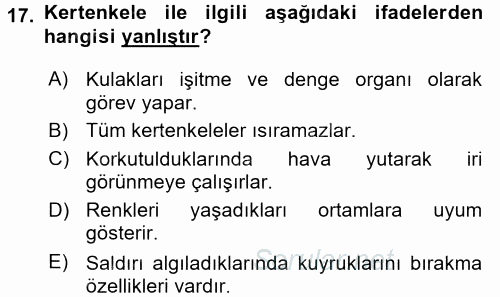 Temel Klinik Bilgisi 2017 - 2018 3 Ders Sınavı 17.Soru