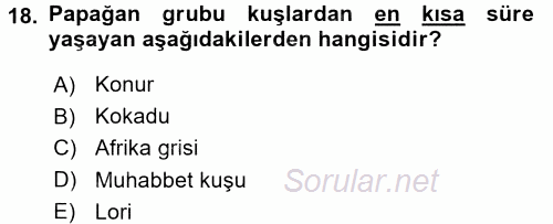 Temel Klinik Bilgisi 2017 - 2018 3 Ders Sınavı 18.Soru
