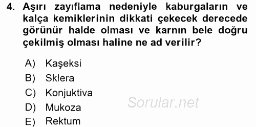 Temel Klinik Bilgisi 2017 - 2018 3 Ders Sınavı 4.Soru